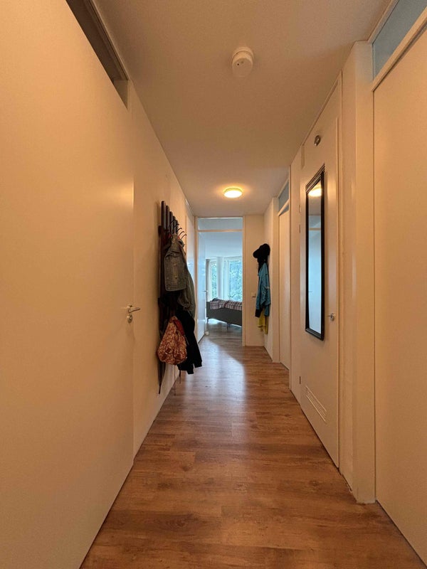 House Image 3