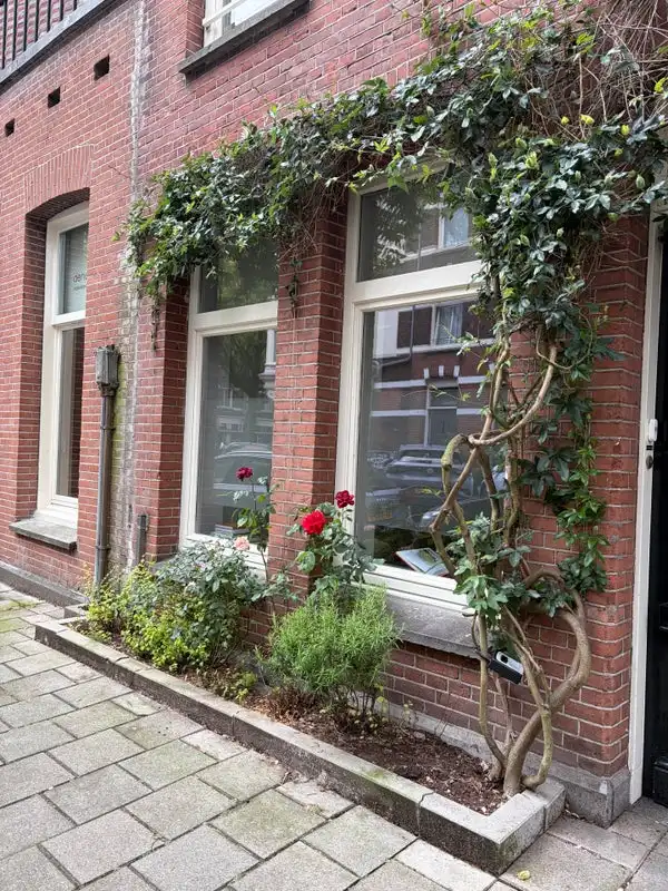 House Exterior