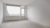 House Image 3