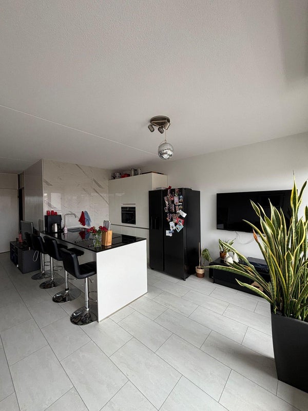 House Image 5