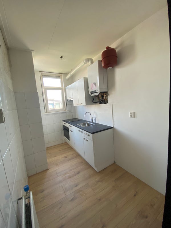House Image 4