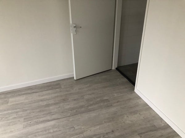 House Image 4