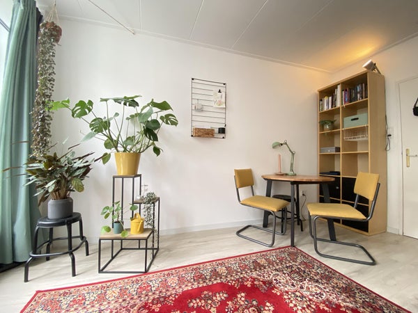 House Image 4