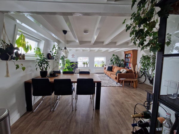 House Image 3