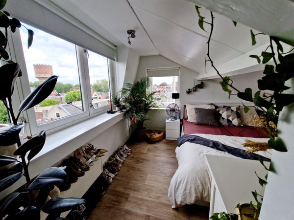 House Image 5