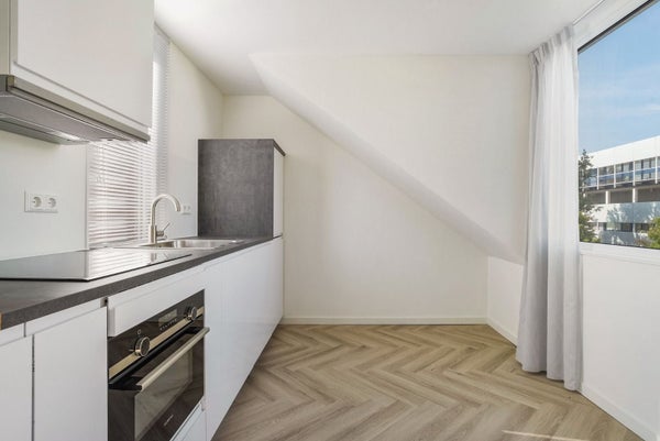 House Image 5