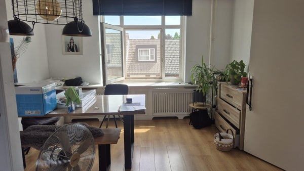 House Image 3