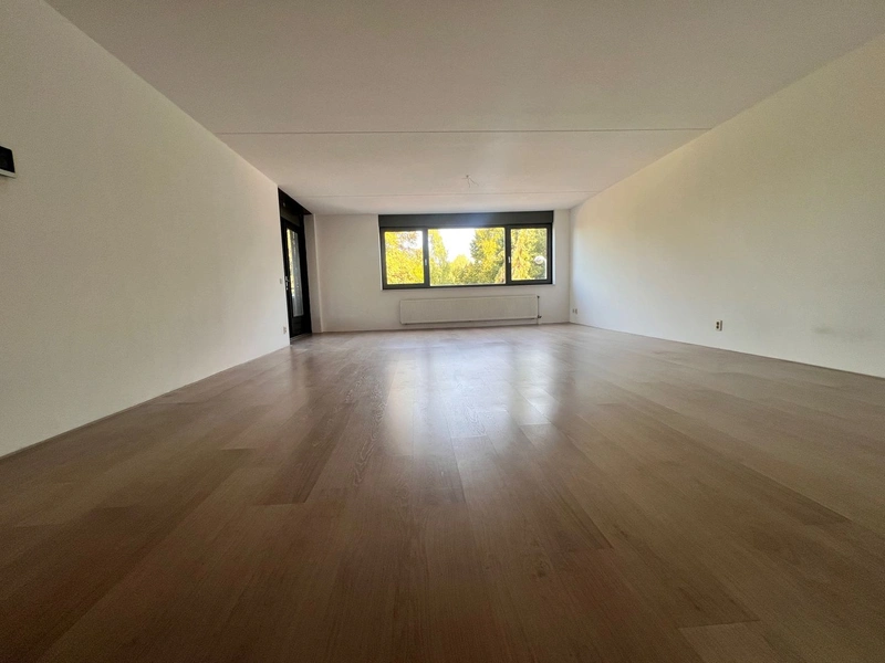 House Image 3