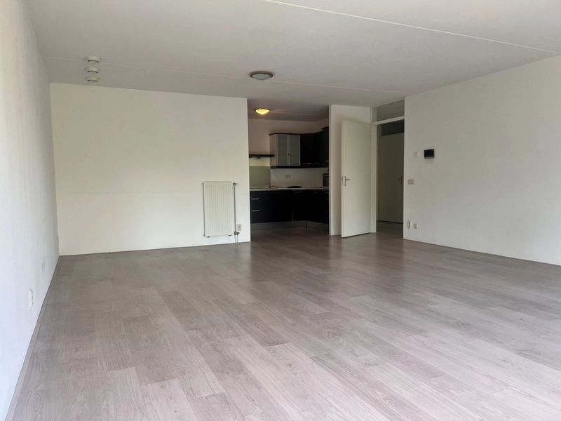 House Image 5