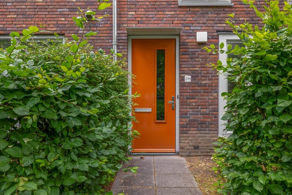House Image 3