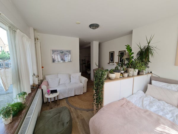 House Image 2