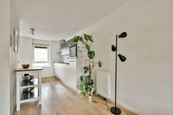 House Image 4