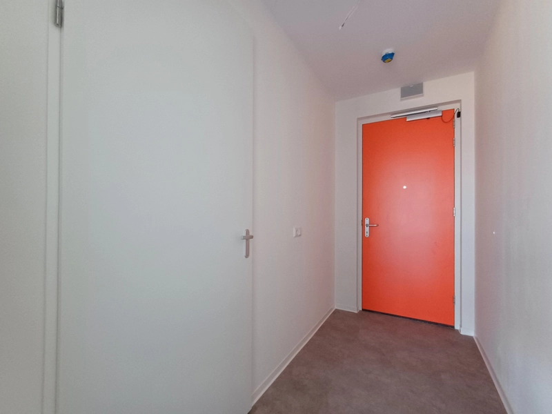 House Image 4