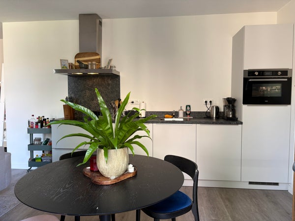 House Image 3