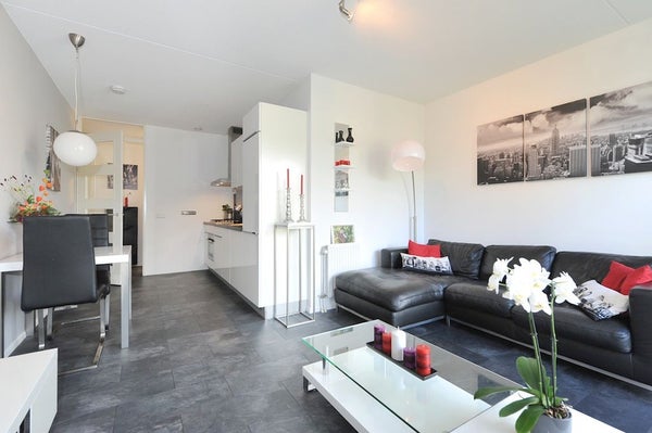 House Image 4