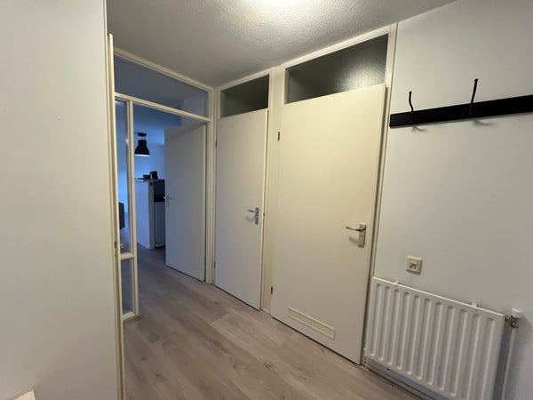 House Image 3