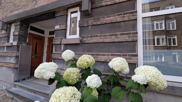 House Exterior