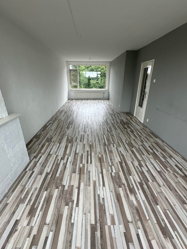 House Image 3