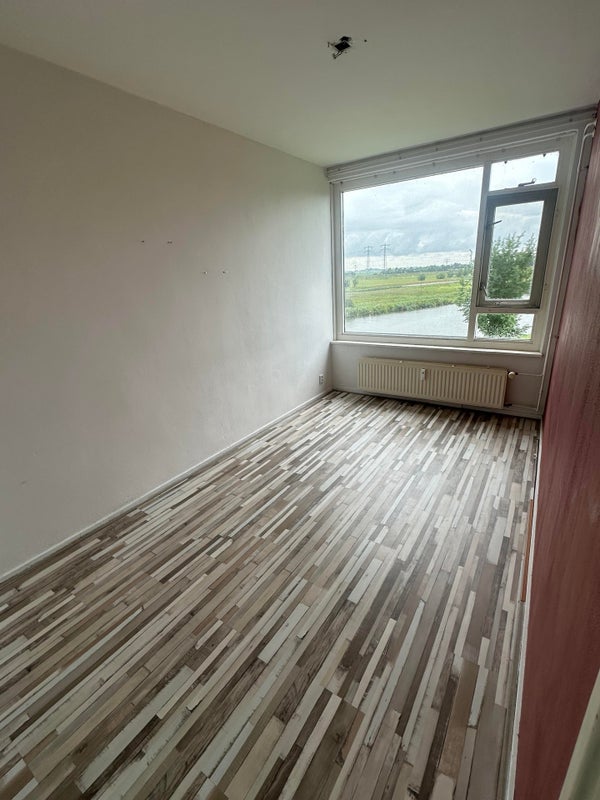 House Image 4