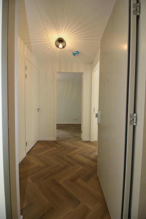 House Image 5