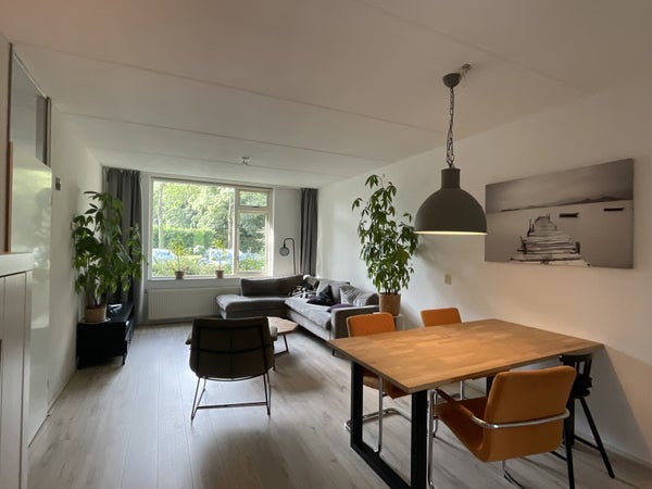 House Image 3
