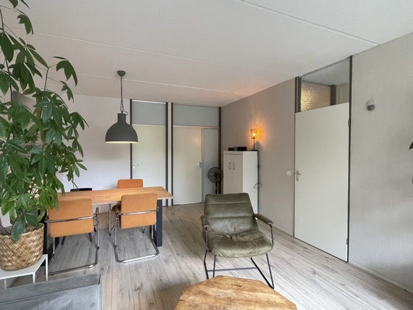House Image 4