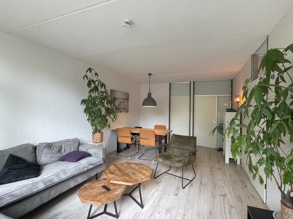 House Image 5