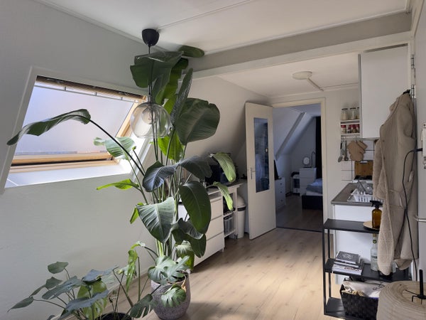 House Image 5