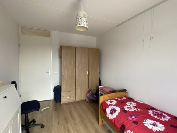 House Image 5