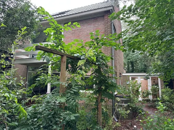 House Exterior