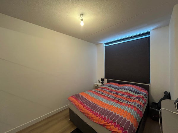 House Image 4