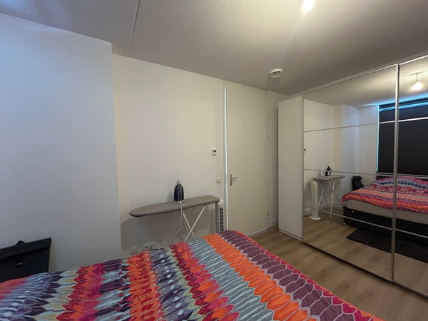 House Image 5