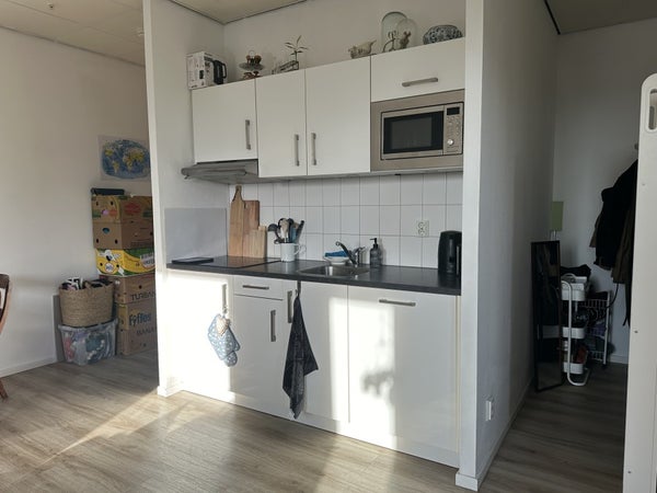 House Image 4