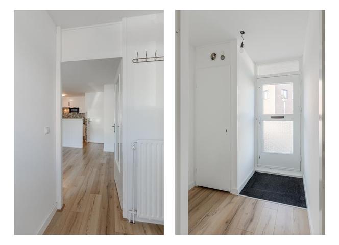 House Image 4
