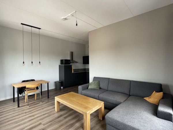 House Image 5