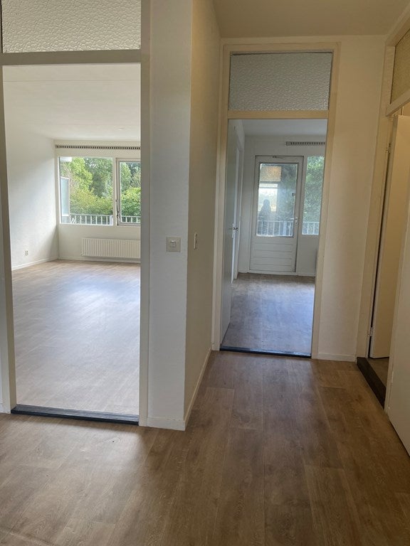 House Image 4