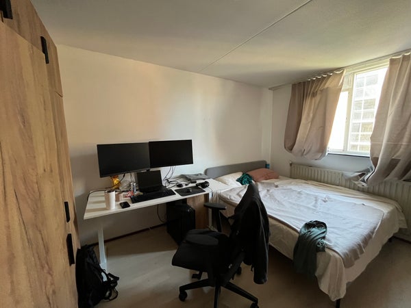 House Image 5