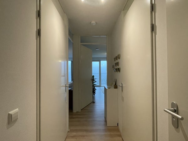 House Image 3