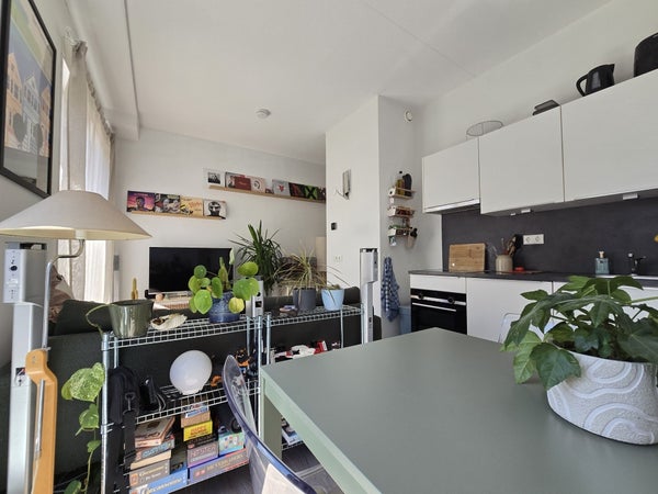 House Image 3