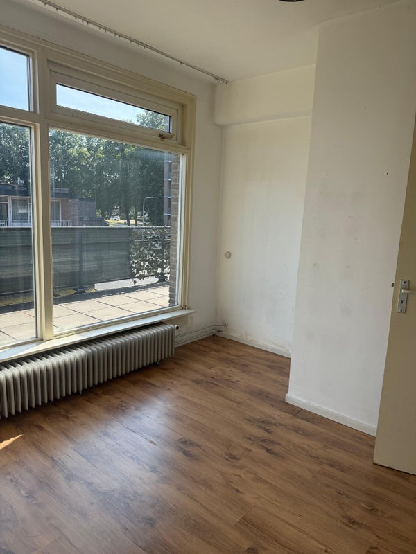 House Image 4