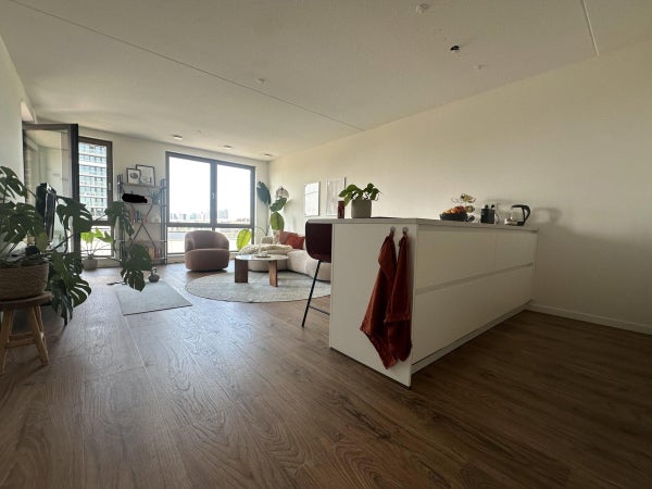House Image 5