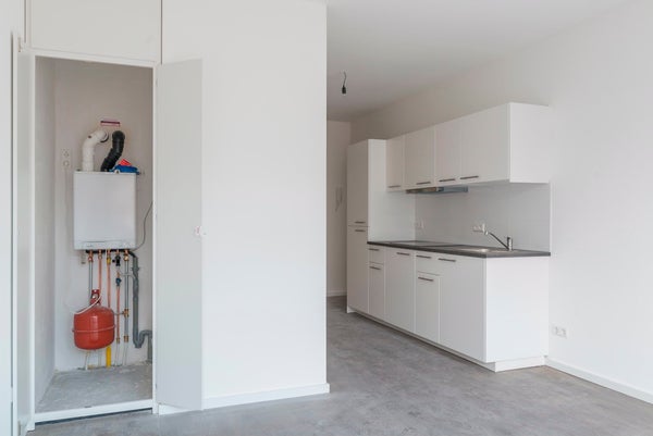 House Image 4