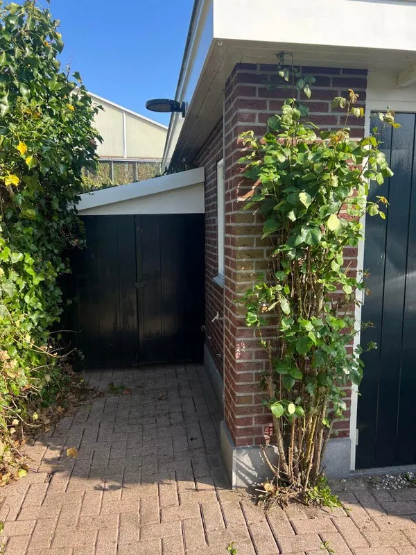 House Image 4