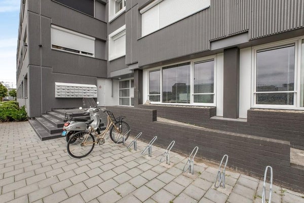 House Image 5
