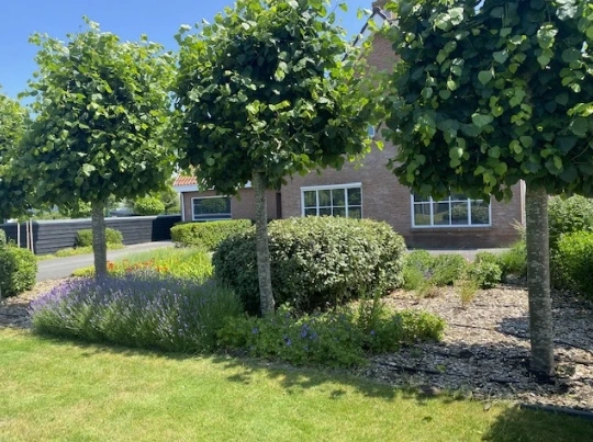House Exterior