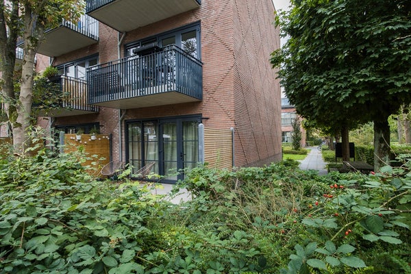 House Image 2