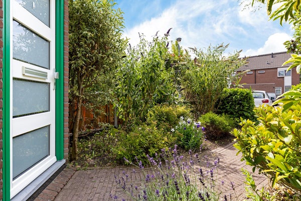 House Image 2