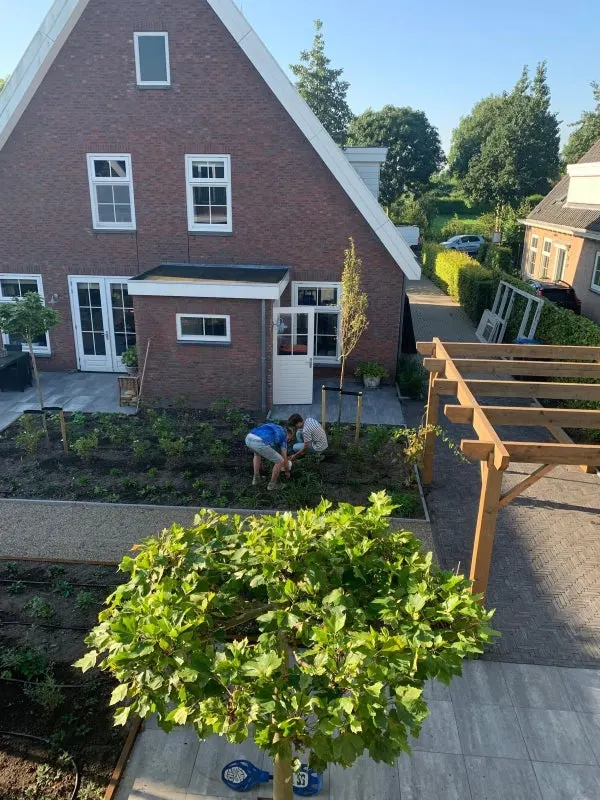 House Image 3