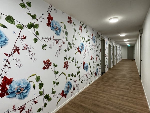 House Image 2