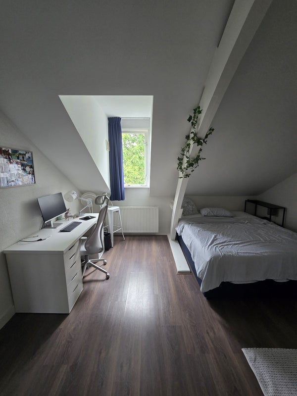 House Image 5
